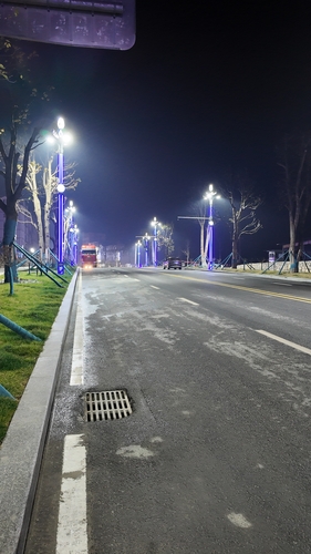 木莲华影路灯现场夜景图